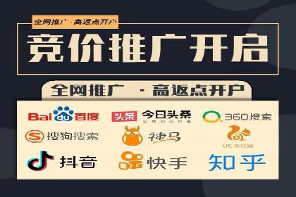 百度广告推广在旅游行业的成功案例